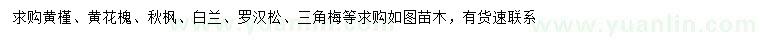 求購黃槿、黃花槐、秋楓等