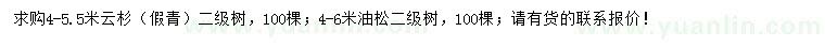 求購4-5.5米云杉、4-6米油松