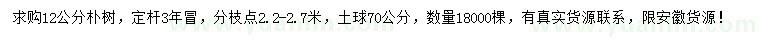求購12公分樸樹
