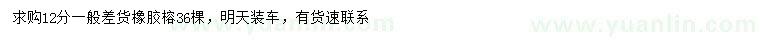 求購(gòu)12公分橡膠榕