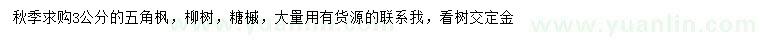 求購五角楓、柳樹、糖槭