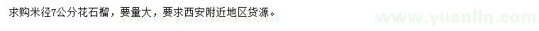 求購米徑7公分花石榴