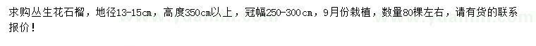 求購高3.5米以上叢生花石榴