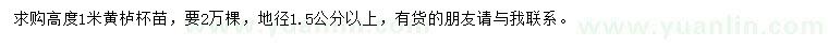 求購高1米黃櫨