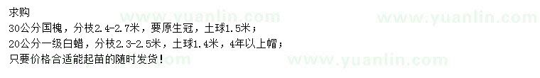 求購30公分國槐、20公分白蠟