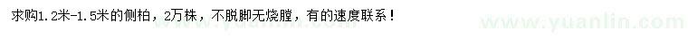 求購1.2-1.5米側(cè)柏