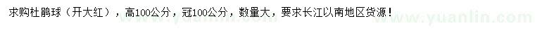 求購高100公分杜鵑球
