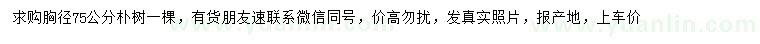求購(gòu)胸徑75公分樸樹