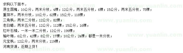 求購國槐、重陽木、三角楓等