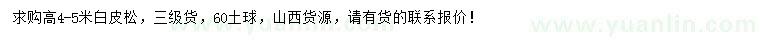 求購高4-5米白皮松