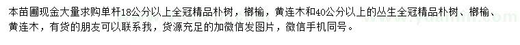 求購(gòu)樸樹(shù)、榔榆、黃連木
