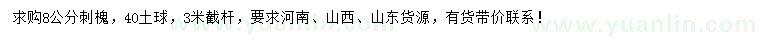 求購8公分刺槐