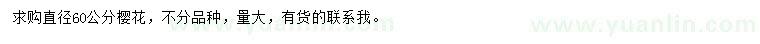 求購(gòu)直徑60公分櫻花