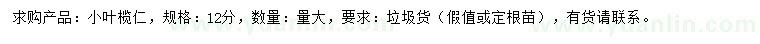 求購12公分小葉欖仁