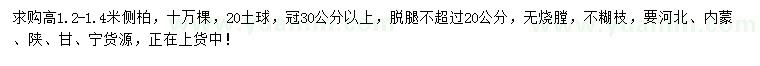 求購高1.2-1.4米側(cè)柏