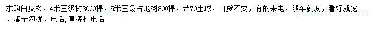 求購4、5米白皮松