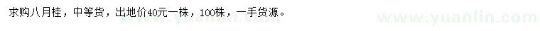 求購(gòu)八月桂