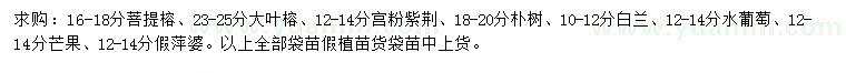 求購(gòu)菩提榕、大葉榕、宮粉紫荊等