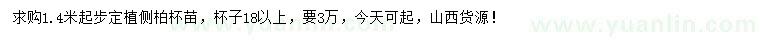 求購1.4米以上側(cè)柏