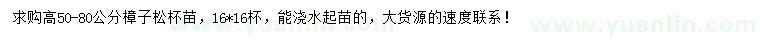 求購高50-80公分樟子松