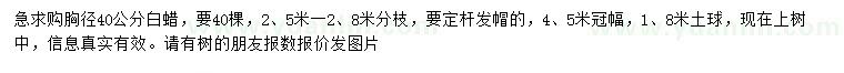 求購胸徑40公分白蠟