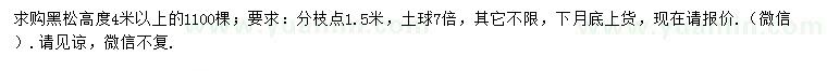 求購高4米以上黑松