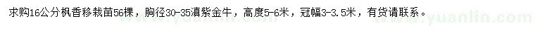 求購16公分楓香移栽苗、胸徑30-35公分滇紫金牛