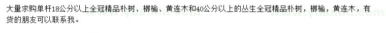 求購樸樹、榔榆、黃連木等