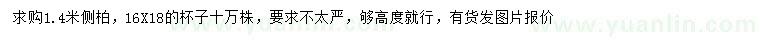 求購1.4米側(cè)柏