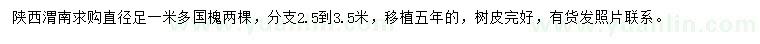 求購(gòu)直徑1米多國(guó)槐