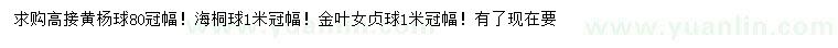 求購高接黃楊球、海桐球、金葉女貞球