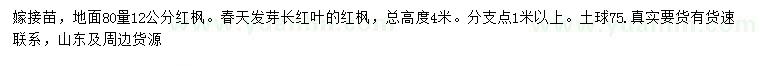 求購地面80量12公分紅楓