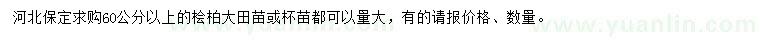 求購60公分以上檜柏大田苗、杯苗