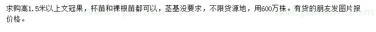 求購高1.5米以上文冠果