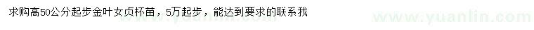 求購高50公分起步金葉女貞