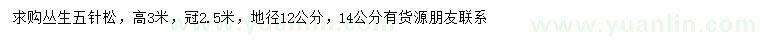 求購高3米叢生五針?biāo)? />
                        <br />
                        <label style=