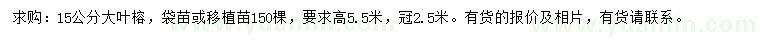求購15公分大葉榕