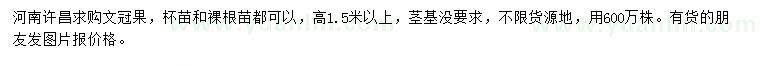 求購(gòu)文冠果、杯苗、裸根苗
