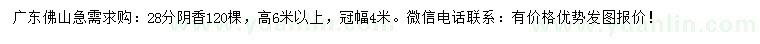 求購28分陰香