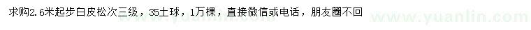 求購2.6米起步白皮松