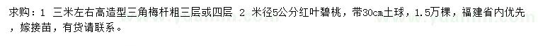 求購高3米左右造型三角梅、米徑5公分紅葉碧桃