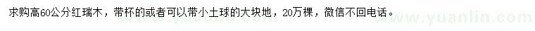 求購高60公分紅瑞木