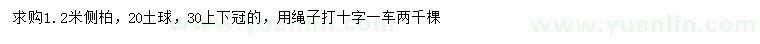 求購1.2米側柏