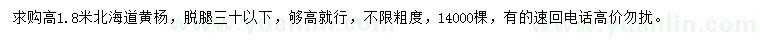 求購高1.8米北海道黃楊