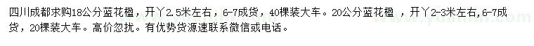 求購18、20公分藍(lán)花楹