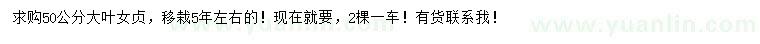 求購50公分大葉女貞