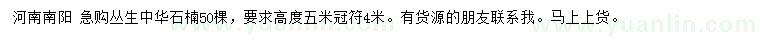 求購高5米叢生中華石楠