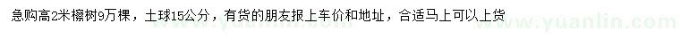 求購(gòu)高2米檫樹(shù)