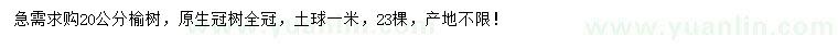 求購20公分榆樹(shù)