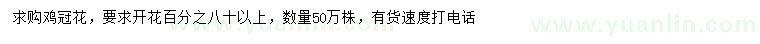 求購雞冠花